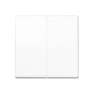 Jung Wippe 2fach, Duroplast antimikrobiell, Serie AS, alpinweiß SPAS591-5WW