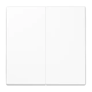Jung Wippe 2fach, Duroplast antimikrobiell, Serie LS, alpinweiß SPLS995WW