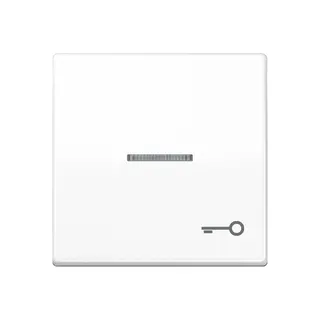 Jung Wippe mit Lichtleiter, Symbol Tür, Duroplast antimikrobiell, Serie AS, alpinweiß SPAS591KO5TWW