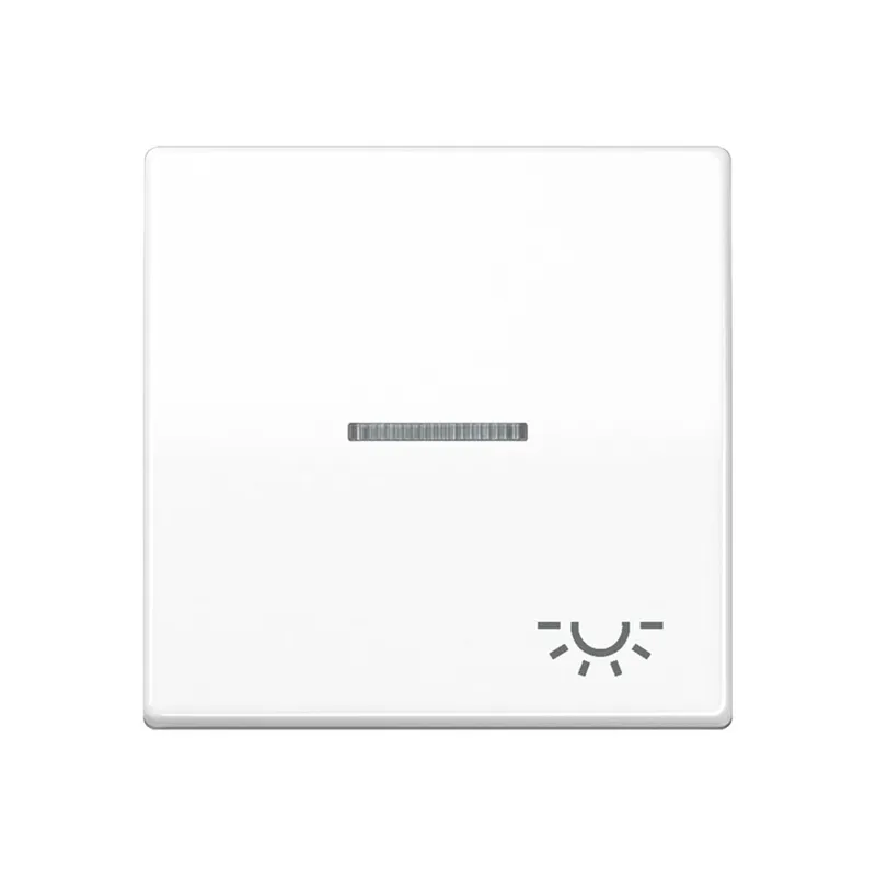 Jung Wippe 1fach mit Lichtleiter, Symbol Licht, Duroplast antimikrobiell, Serie AS, alpinweiß SPAS591KO5LWW