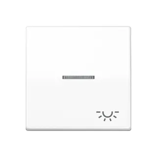 Jung Wippe 1fach mit Lichtleiter, Symbol Licht, Duroplast antimikrobiell, Serie AS, alpinweiß SPAS591KO5LWW
