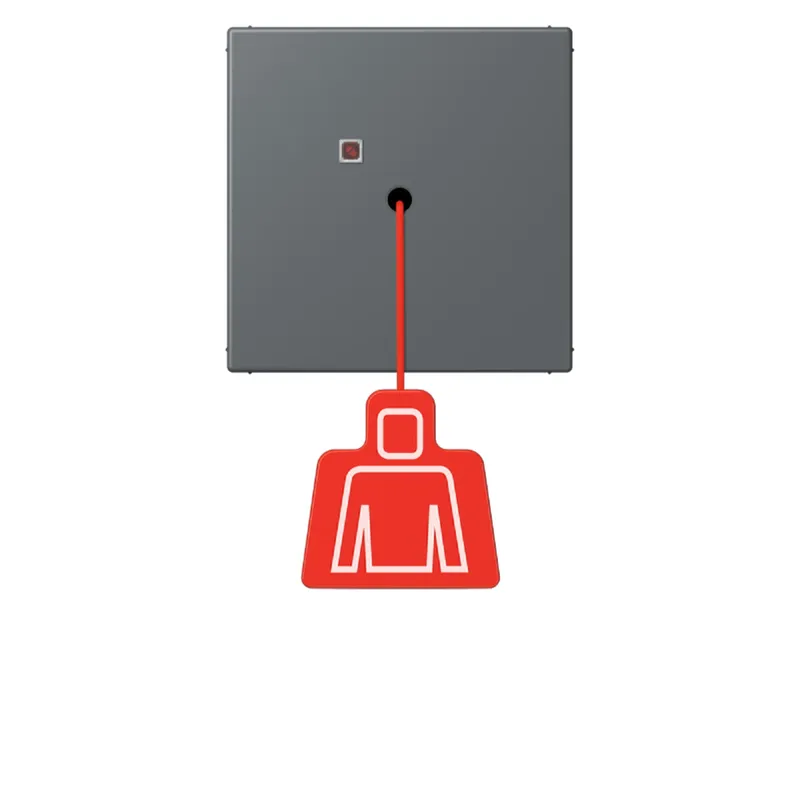 Jung Notrufsystem Zugtaster, Serie LS, gris foncé 31 NRSLC0834ZT202