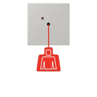 Jung Notrufsystem Zugtaster, Serie LS, gris clair 31 NRSLC0834ZT205