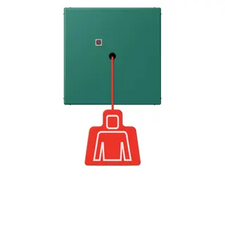 Jung Notrufsystem Zugtaster, Serie LS, vert anglais NRSLC0834ZT216
