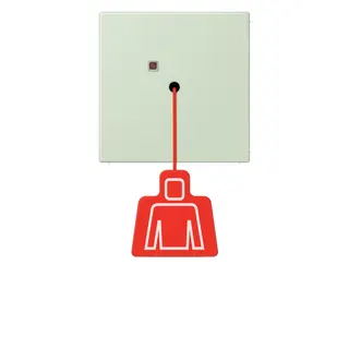 Jung Notrufsystem Zugtaster, Serie LS, vert anglâis pale NRSLC0834ZT218