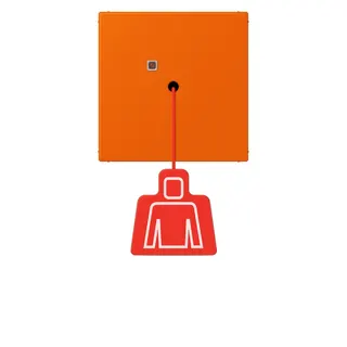 Jung Notrufsystem Zugtaster, Serie LS, orange NRSLC0834ZT224