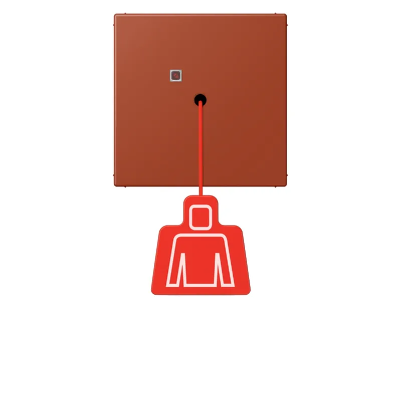 Jung Notrufsystem Zugtaster, Serie LS, l'ocre rouge NRSLC0834ZT232