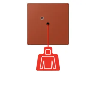 Jung Notrufsystem Zugtaster, Serie LS, l'ocre rouge NRSLC0834ZT232