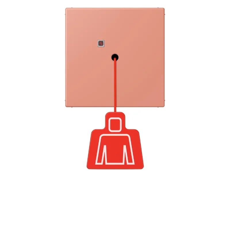 Jung Notrufsystem Zugtaster, Serie LS, l'ocre rouge moyen NRSLC0834ZT233