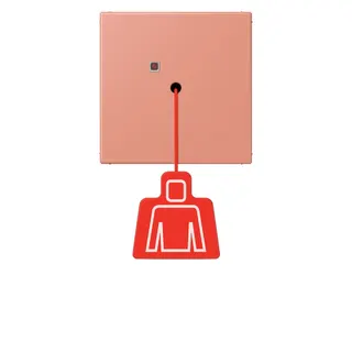 Jung Notrufsystem Zugtaster, Serie LS, l'ocre rouge moyen NRSLC0834ZT233