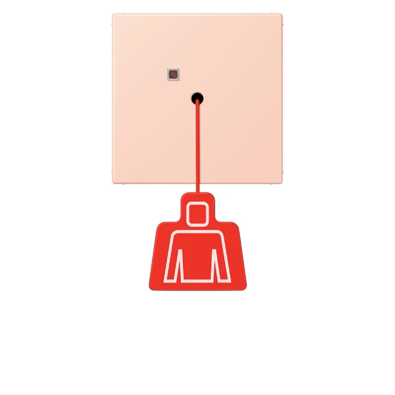 Jung Notrufsystem Zugtaster, Serie LS, l'ocre rouge clair NRSLC0834ZT234