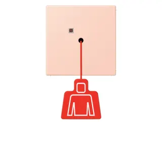 Jung Notrufsystem Zugtaster, Serie LS, l'ocre rouge clair NRSLC0834ZT234