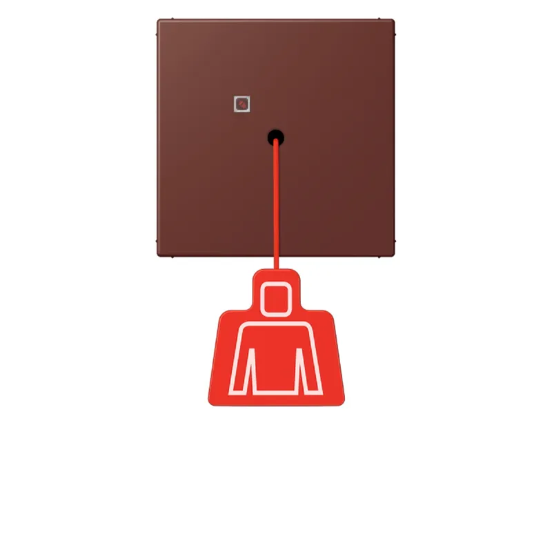 Jung Notrufsystem Zugtaster, Serie LS, terre sienne br?lée 31 NRSLC0834ZT235