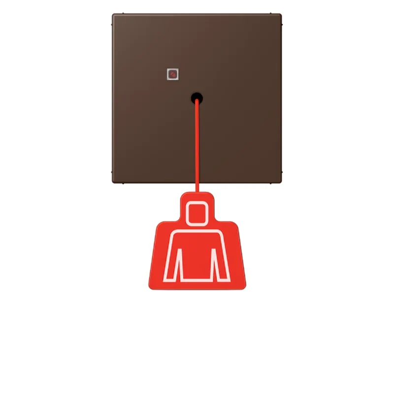 Jung Notrufsystem Zugtaster, Serie LS, terre d'ombre br?lée 31 NRSLC0834ZT239