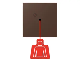 Jung Notrufsystem Zugtaster, Serie LS, terre d'ombre br?lée 31 NRSLC0834ZT239