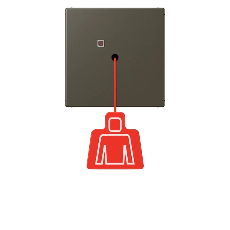 Jung Notrufsystem Zugtaster, Serie LS, ombre naturelle 31 NRSLC0834ZT241