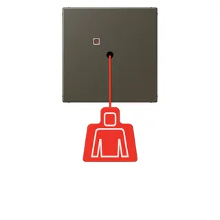 Jung Notrufsystem Zugtaster, Serie LS, ombre naturelle 31 NRSLC0834ZT241