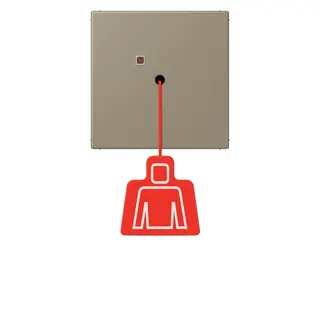 Jung Notrufsystem Zugtaster, Serie LS, ombre naturelle moyenne NRSLC0834ZT242
