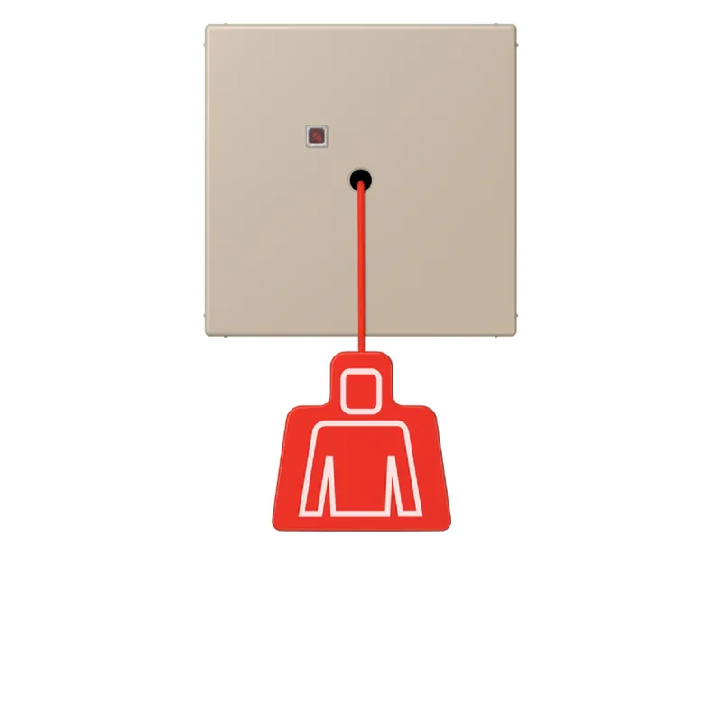 Jung Notrufsystem Zugtaster, Serie LS, ombre naturelle claire NRSLC0834ZT243