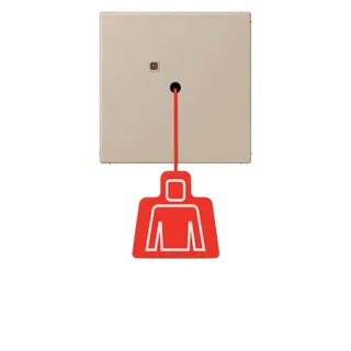 Jung Notrufsystem Zugtaster, Serie LS, ombre naturelle claire NRSLC0834ZT243