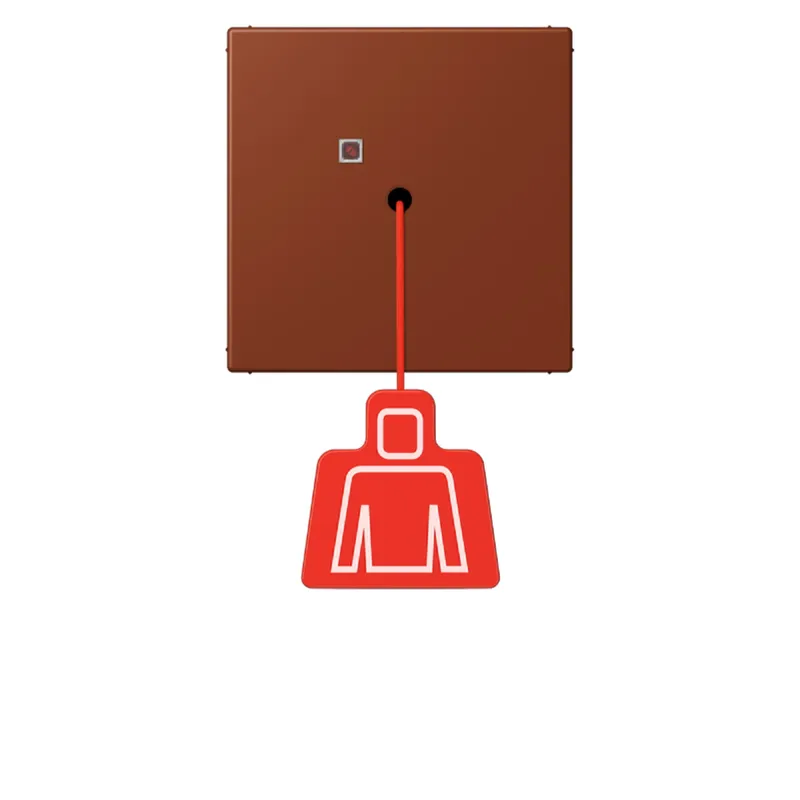 Jung Notrufsystem Zugtaster, Serie LS, terre sienne br?lée 59 NRSLC0834ZT247