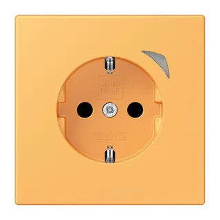 Jung HOME SCHUKO® Steckdose, 16 A 250 V ~, Schraubklemmen, mit Funktionsanzeige, SAFETY+, Thermoplast lackiert BTLC1521S254