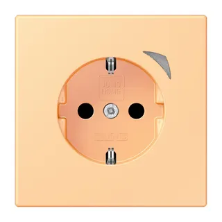 Jung HOME SCHUKO® Steckdose, 16 A 250 V ~, Schraubklemmen, mit Funktionsanzeige, SAFETY+, Thermoplast lackiert BTLC1521S258