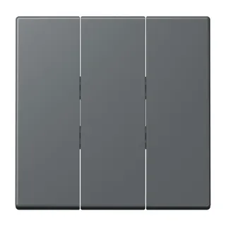 Jung Wippe 3fach, Thermoplast lackiert, Serie LS, gris foncé 31 LC993BF202