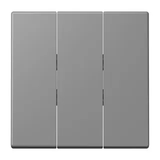 Jung Wippe 3fach, Thermoplast lackiert, Serie LS, gris 31 LC993BF203