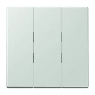 Jung Wippe 3fach, Thermoplast lackiert, Serie LS, céruléen pale LC993BF215