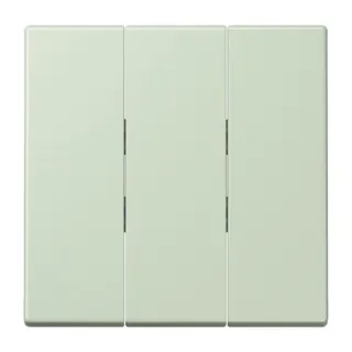 Jung Wippe 3fach, Thermoplast lackiert, Serie LS, vert anglâis pale LC993BF218