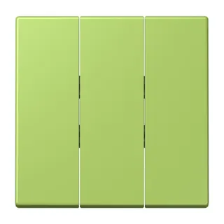 Jung Wippe 3fach, Thermoplast lackiert, Serie LS, vert clair LC993BF221