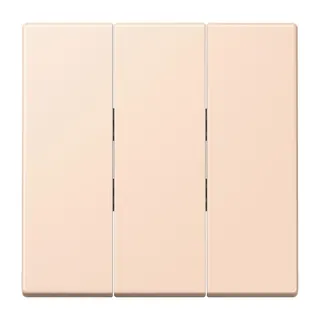 Jung Wippe 3fach, Thermoplast lackiert, Serie LS, rose pâle LC993BF228