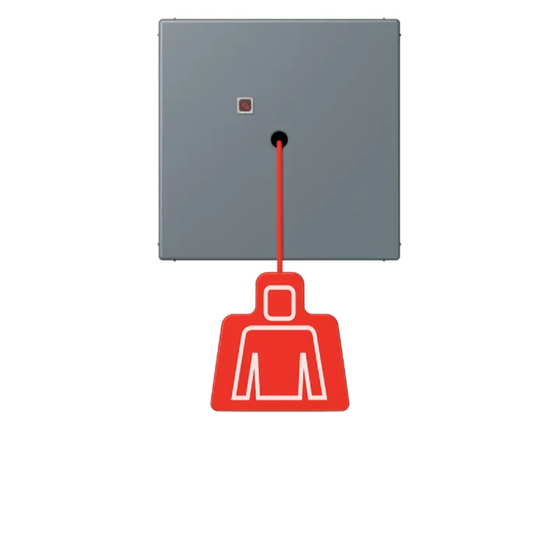 Jung Notrufsystem Zugtaster, Serie LS, gris 59 NRSLC0834ZT251
