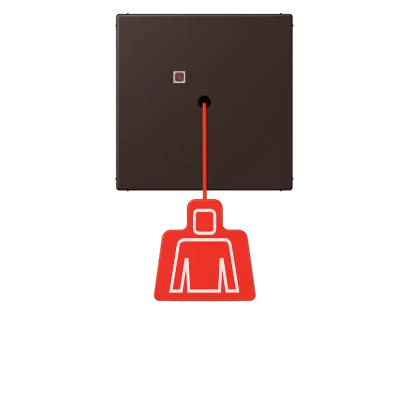 Jung Notrufsystem Zugtaster, Serie LS, terre d?ombre br?lée 59 NRSLC0834ZT252