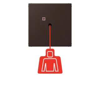 Jung Notrufsystem Zugtaster, Serie LS, terre d?ombre br?lée 59 NRSLC0834ZT252