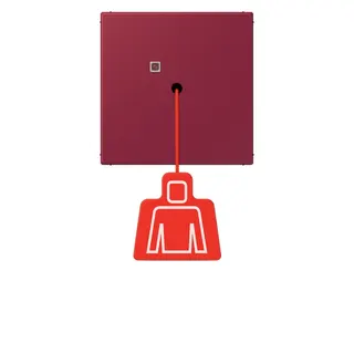 Jung Notrufsystem Zugtaster, Serie LS, le rubis NRSLC0834ZT255