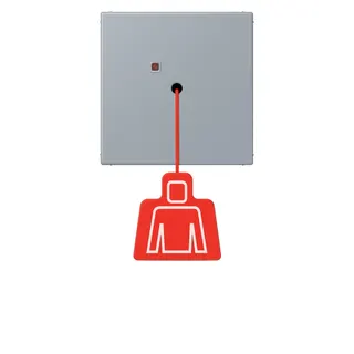 Jung Notrufsystem Zugtaster, Serie LS, gris clair 59 NRSLC0834ZT257