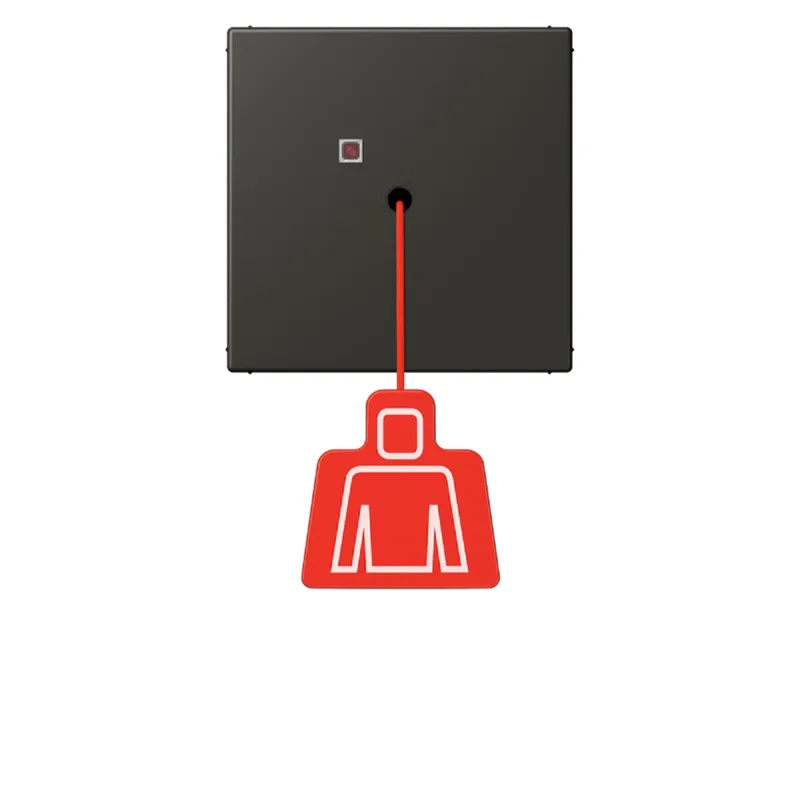 Jung Notrufsystem Zugtaster, Serie LS, ombre naturelle 59 NRSLC0834ZT259