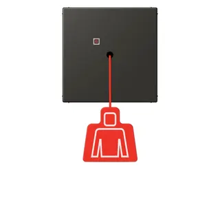Jung Notrufsystem Zugtaster, Serie LS, ombre naturelle 59 NRSLC0834ZT259