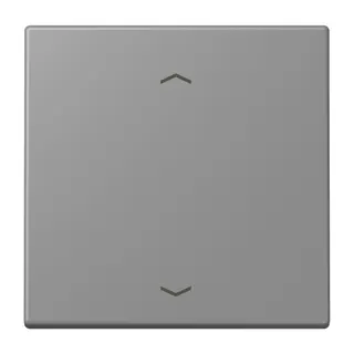 Jung Wippe 1fach, mit Pfeilsymbolen, Serie LS, gris 31 LC990P203