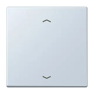 Jung Wippe 1fach, mit Pfeilsymbolen, Serie LS, outremer pale LC990P209