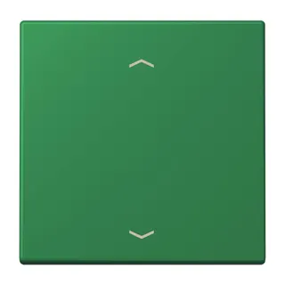 Jung Wippe 1fach, mit Pfeilsymbolen, Serie LS, vert foncé LC990P219