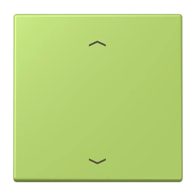 Jung Wippe 1fach, mit Pfeilsymbolen, Serie LS, vert clair LC990P221