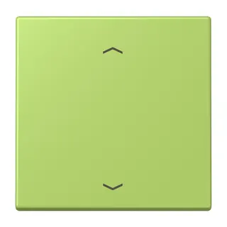 Jung Wippe 1fach, mit Pfeilsymbolen, Serie LS, vert clair LC990P221