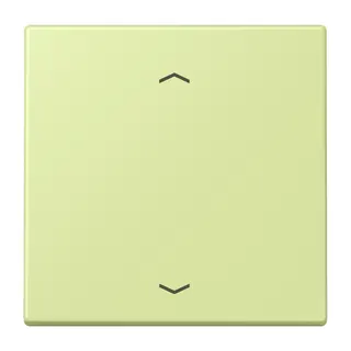 Jung Wippe 1fach, mit Pfeilsymbolen, Serie LS, vert jaune clair LC990P222