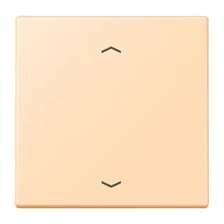 Jung Wippe 1fach, mit Pfeilsymbolen, Serie LS, ocre LC990P223