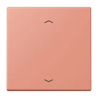 Jung Wippe 1fach, mit Pfeilsymbolen, Serie LS, l'ocre rouge moyen LC990P233