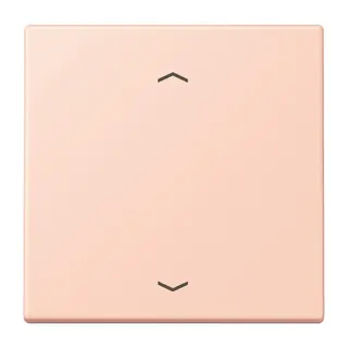 Jung Wippe 1fach, mit Pfeilsymbolen, Serie LS, l'ocre rouge clair LC990P234