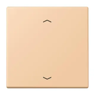 Jung Wippe 1fach, mit Pfeilsymbolen, Serie LS, terre sienne claire 31 LC990P237